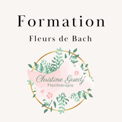 Formation Fleurs de Bach Christine Guedj