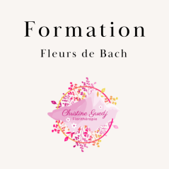 Formation Fleurs de Bach Christine Guedj