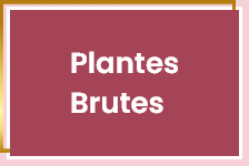 Plantes brutes